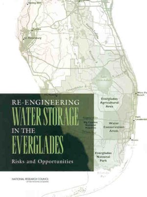 cover image of Re-Engineering Water Storage in the Everglades